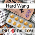 Hard Wang 41